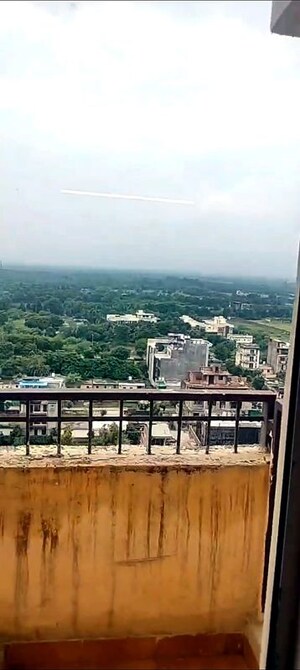 3 BHK Apartment For Rent in Jaypee Kensington Park Apartments, Sector 133