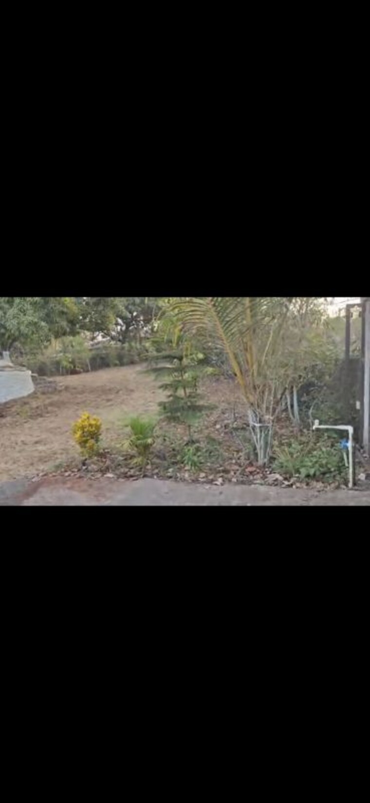 undefined, juhu 4 Bedroom 8000 Sq.Ft. Villa In Juhu Mumbai 10662548