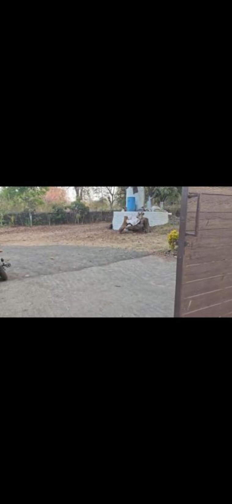  Parking, juhu 4 Bedroom 8000 Sq.Ft. Villa In Juhu Mumbai 10662548