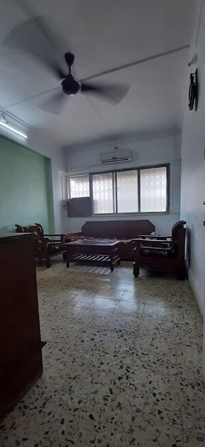 1 BHK Apartment For Rent in Bandra West