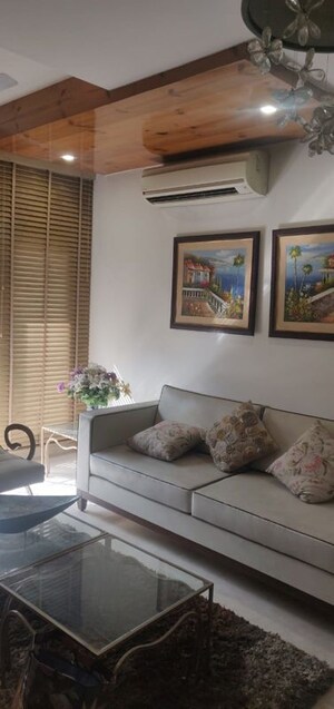 Living Room in 3 BHK Builder Floor at Safdarjung Enclave – for Rent