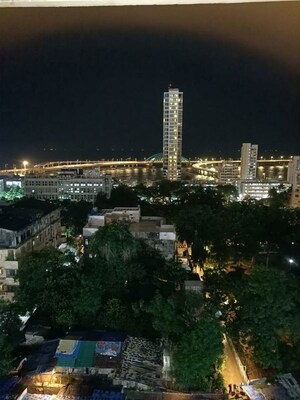 2 BHK Apartment For Rent in Worli