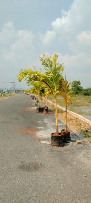  Plot – Exterior View View at Bharati Daksh County, Aganampudi - for Sale