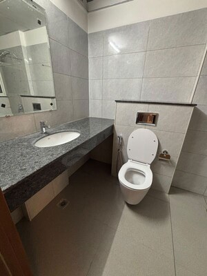 Bathroom in 2 BHK Apartment at Godrej Woods, Sector 43 – for Rent