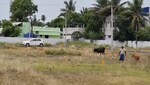 1200 Sq.Ft. Plot in Thalakkudi