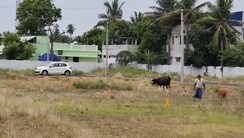 Plot For Sale in Thalakkudi