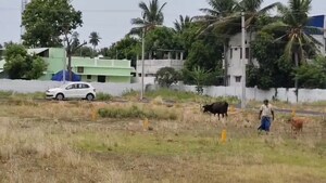  Plot For Sale in Thalakkudi