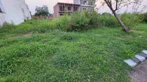 Plot Area in  Plot at New Chandigarh – for Sale