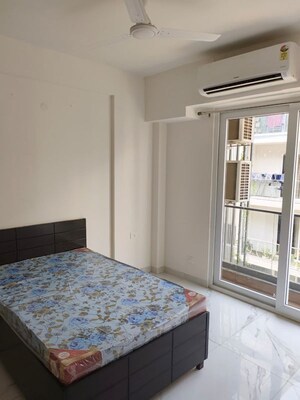 3 BHK Apartment For Rent in Signature Global City 81, Sector 81