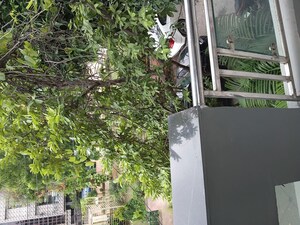 Balcony in 6+ BHK Independent House at Vasundhara Sector 13 – for Sale