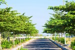 267 Sq.Yd. Plot in Moosapet