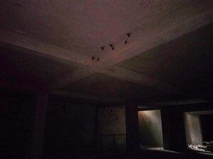 Bathroom in  Shop at Vivek Vihar – for Sale