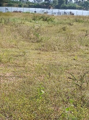 Plot Area in  Land at Hayathnagar – for Sale