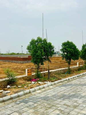 Plot Area in  Plot at Chandlai – for Sale