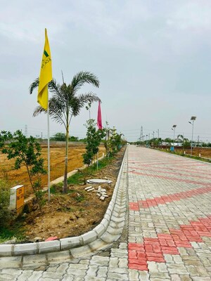  Plot – Exterior View View at Chandlai - for Sale