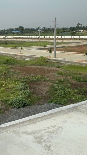 Plot Area in  Plot at Surampalli – for Sale