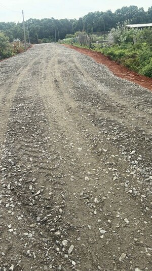Plot Area in  Plot at Surampalli – for Sale