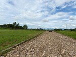 150 Sq.Yd. Plot in Selakui