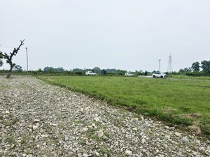 Plot Area in  Plot at Selakui – for Sale