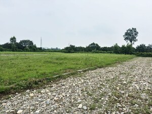 Plot Area in  Plot at Selakui – for Sale