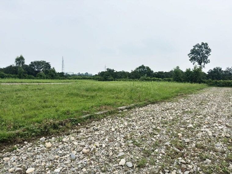 undefined, selakui  150 Sq.Yd. Plot In Selakui Dehradun 10663968