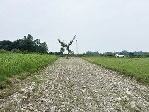 Plot Area in  Plot at Selakui – for Sale
