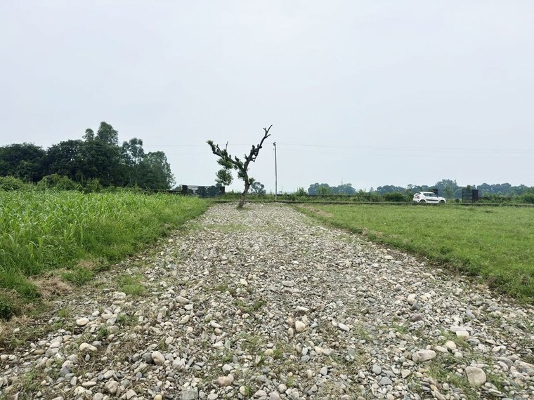 undefined, selakui  150 Sq.Yd. Plot In Selakui Dehradun 10663968