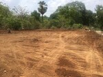 846 Sq.Mt. Plot in Dapode