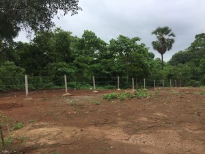 Plot Area in  Plot at Dapode – for Sale