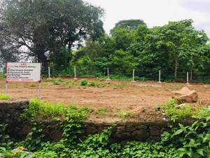 Plot Area in  Plot at Dapode – for Sale