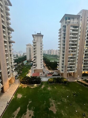 2 BHK 1640 Sq.Ft. Apartment in SS The Leaf