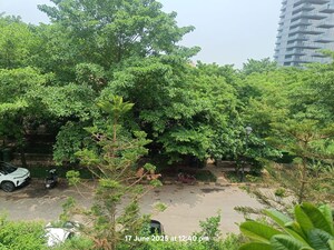 Balcony in 4 BHK Builder Floor at Emaar MGF Emerald Hills, Sector 65 – for Sale