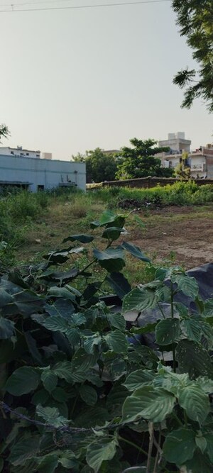  Land – Garden View at Thaltej - for Sale