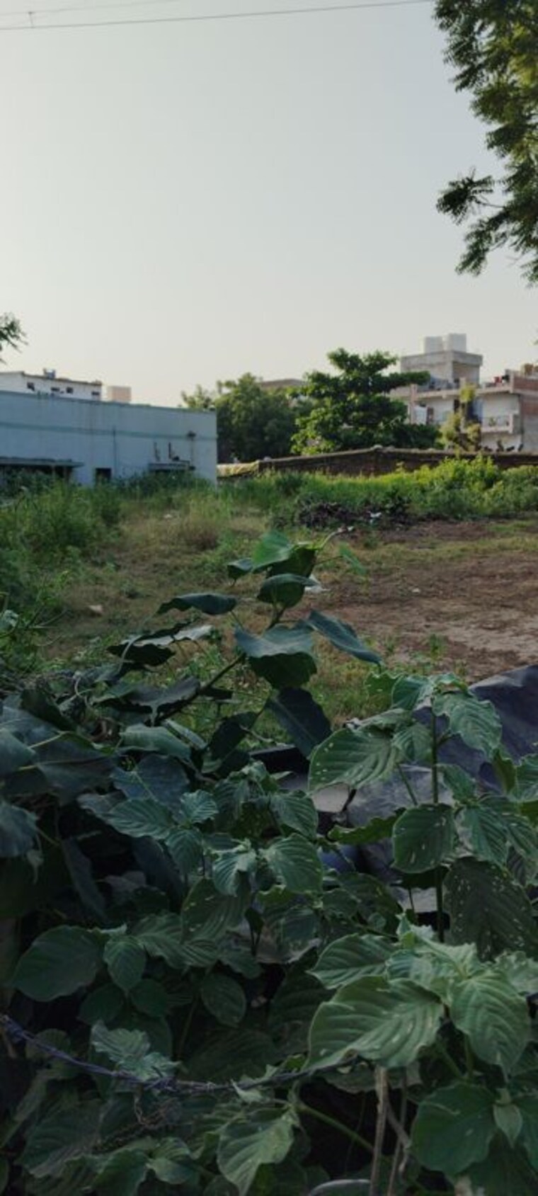 Garden, thaltej Commercial Land 936 Sq.Yd. In Thaltej Ahmedabad 10664531