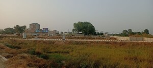  Plot For Sale in Sector 75