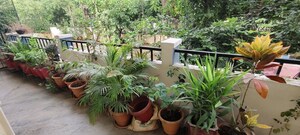 Balcony in 3 BHK Apartment at Diamond Estates 7, Kphb – for Rent