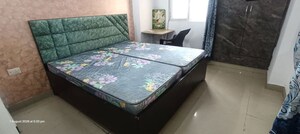 Bedroom in 1 RK Apartment at Amrapali Silicon City, Sector 76 – for Rent