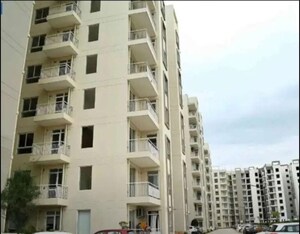 3 BHK Apartment For Rent in Ambala Highway