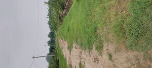 Plot Area in  Plot at Gwalior Road – for Sale