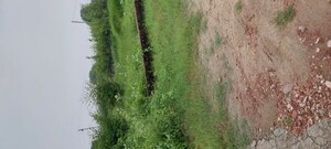 Plot Area in  Plot at Gwalior Road – for Sale