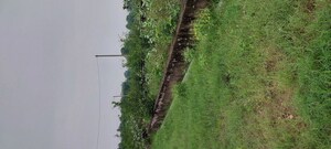 Plot Area in  Plot at Gwalior Road – for Sale