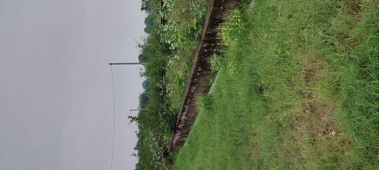 undefined, gwalior road  100 Sq.Yd. Plot In Gwalior Road Agra 10664845