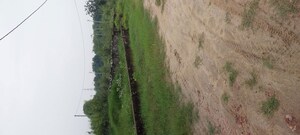 Plot Area in  Plot at Gwalior Road – for Sale