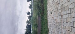 Plot For Sale in Gwalior Road