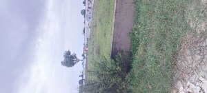 Plot Area in  Plot at Gwalior Road – for Sale