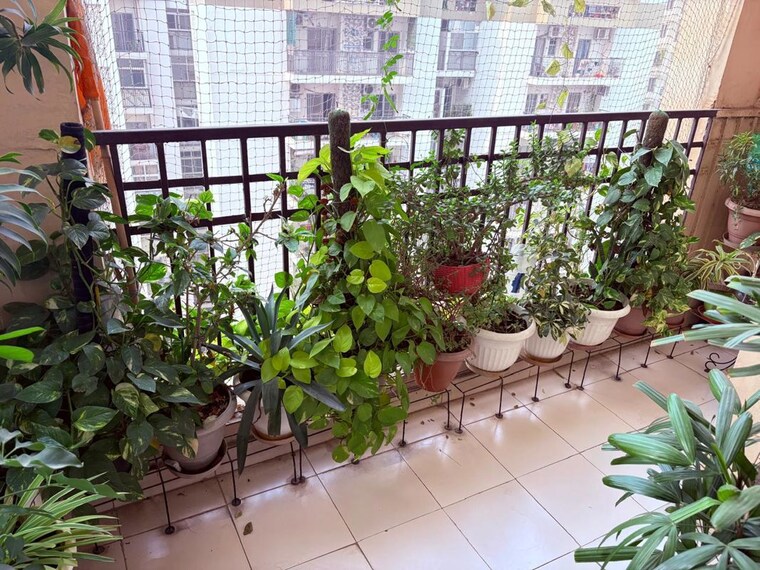 Balcony, shri-radha-aqua-garden 2 Bedroom 1050 Sq.Ft. Apartment In Sector 16b Greater Noida Greater Noida 10665130
