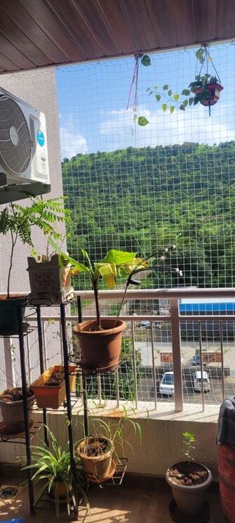 1 BHK +Apartment For Rent in Kiran Swastik in Sus, Pune