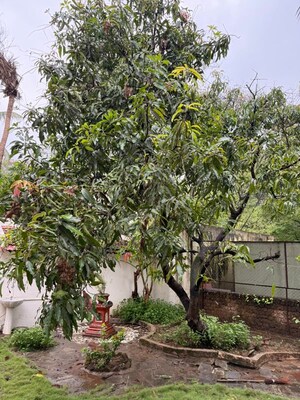 5 BHK Independent House – Garden View at National Housing Society - for Rent