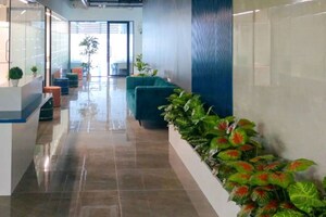  Office Space – Exterior View View at Viman Nagar - for Rent