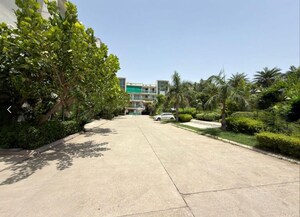 Plot Area in 3 BHK Builder Floor at Mullanpur – for Sale